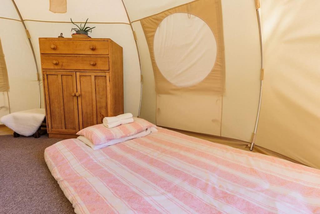 South Devon Luna Bell Tent Luxury tent Newton Abbot