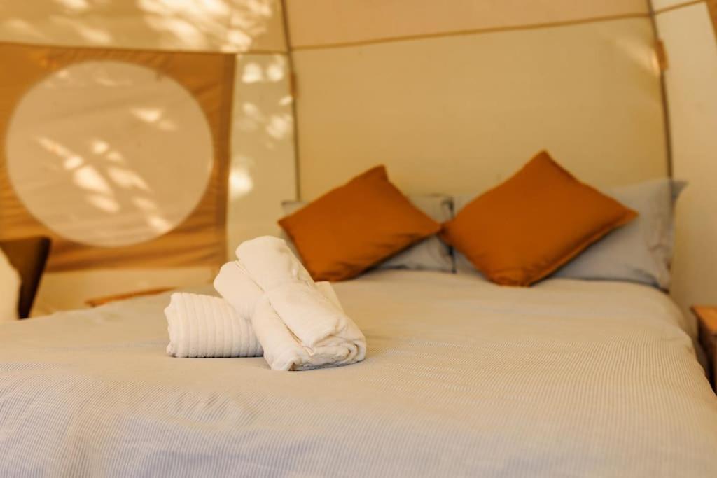 Luxury tent South Devon Luna Bell Tent
