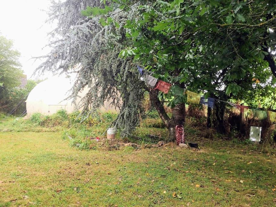 South Devon Luna Bell Tent * Newton Abbot